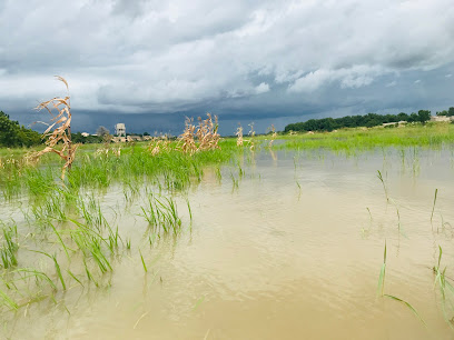303 Housing Estate estate near Isa Hassan Estate - 5.2km away