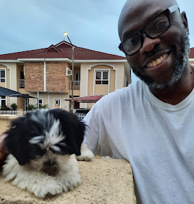 Alperton Estate estate view 3 - property in Lagos