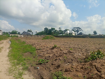 CRYSTAL CITY ESTATE PHASE 1