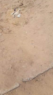 Golden Pearl Estate estate near 1004 Housing Estate - 1.3km away