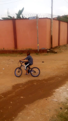 Heritage Estates estate view 3 - property in Lagos