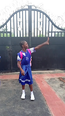 Iyekogba Housing Estate estate view 3 - property in Edo