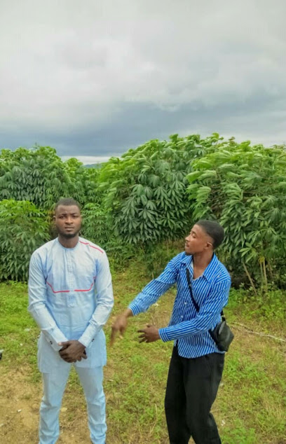 Jdp (kwara Estate) estate near Nigeria Security And Civil Defence Corps Estate - 14.5km away