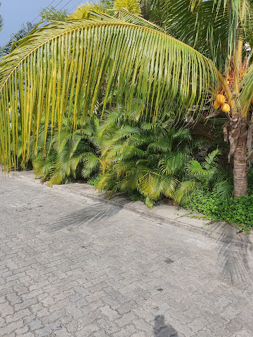 Northern Foreshore Estate Lekki estate view 2 - property in Lagos