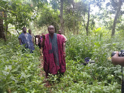 Oakwood Park Estate Phase 2 estate near Fairfield Estate - 1.6km away