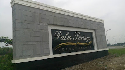 palm springs luxury estate