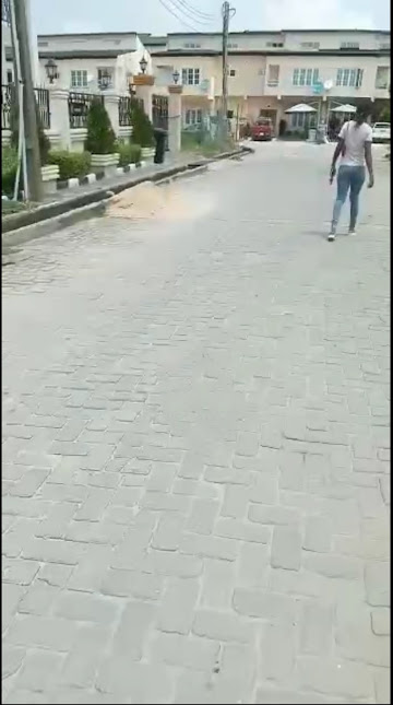 Peninsula Garden Estate Lekki estate view 2 - property in Lagos