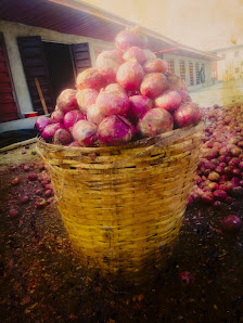 Prayer Estate Amuwo Odofin estate view 3 - property in Lagos