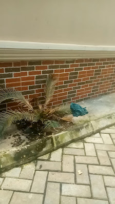 valencia garden estate