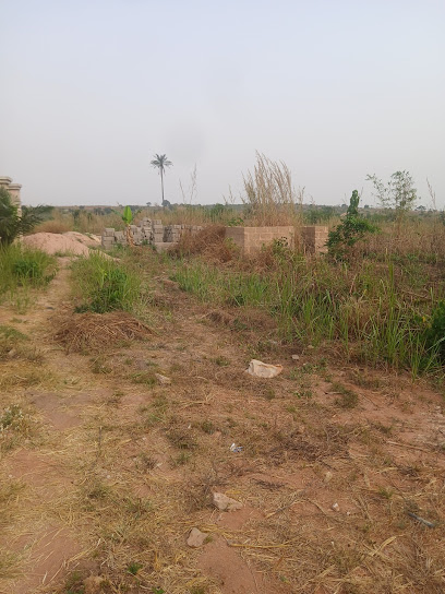Wise Estate estate in Delta - search result for Nigerian properties